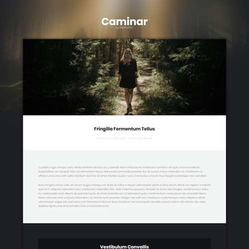 Caminar - Free Responsive HTML and CSS Template