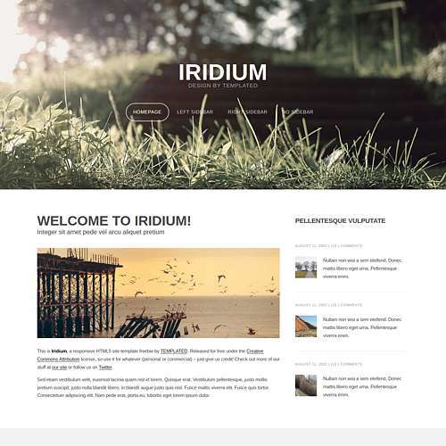 Iridium - Free Responsive HTML and CSS Template