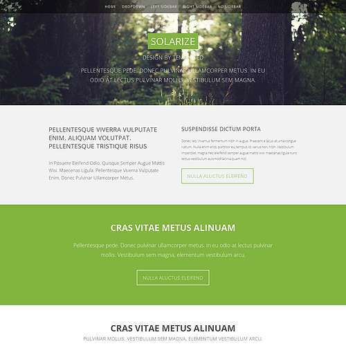 Solarize - Free Responsive HTML and CSS Template